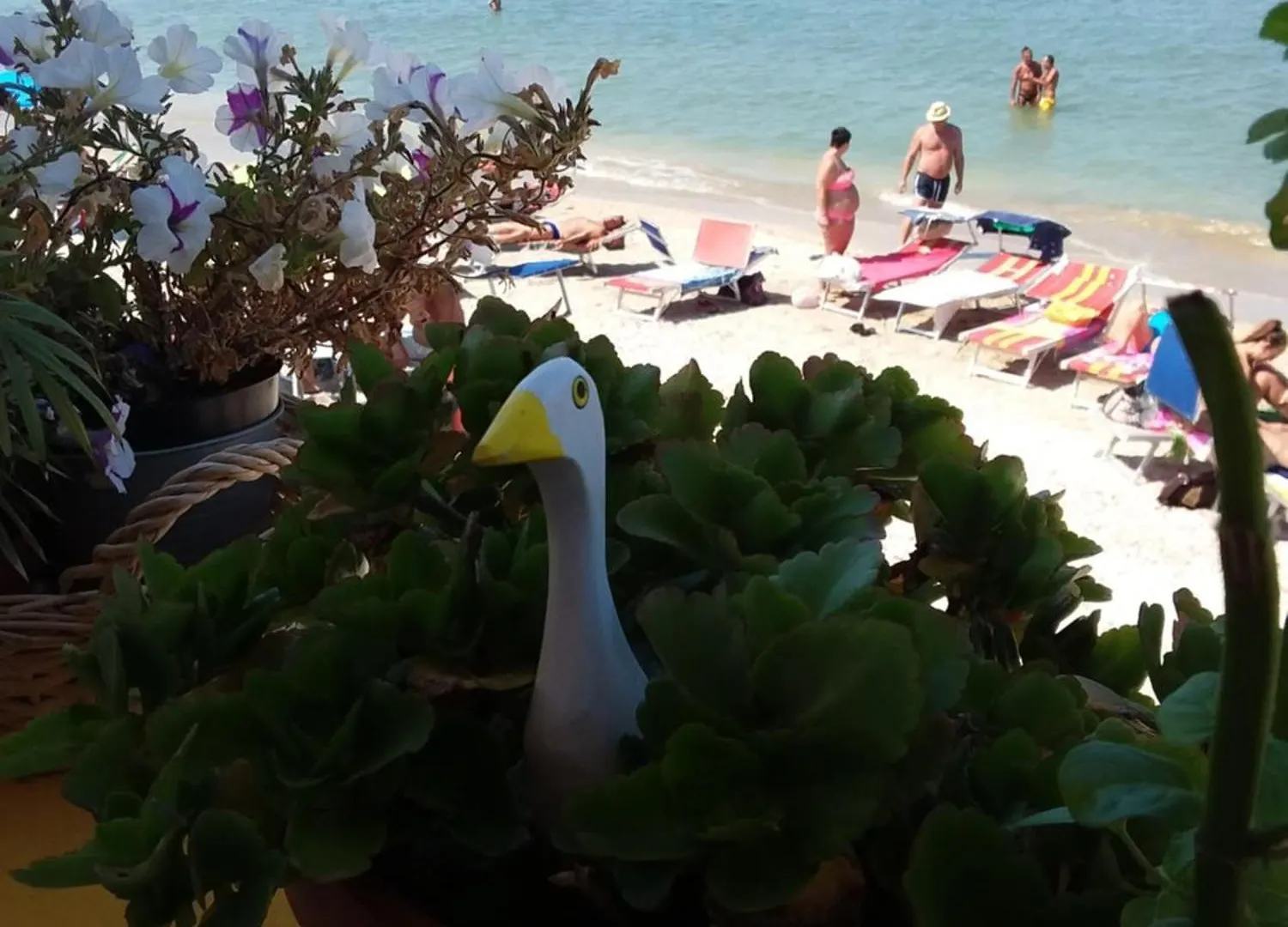 Acquamarina B&B Casa vacanze Marina di Montemarciano Italia