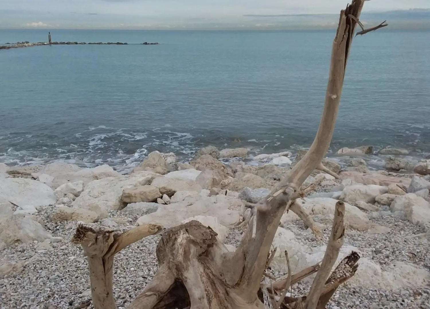 Bed & Breakfast Acquamarina B&B Casa vacanze Marina di Montemarciano Italia